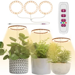 8/12/16H Timer LED Growing Light Full Spectrum for Indoor Plants USB Ring Phytolamp Halo Light Dimmable Sunlight for Succulent