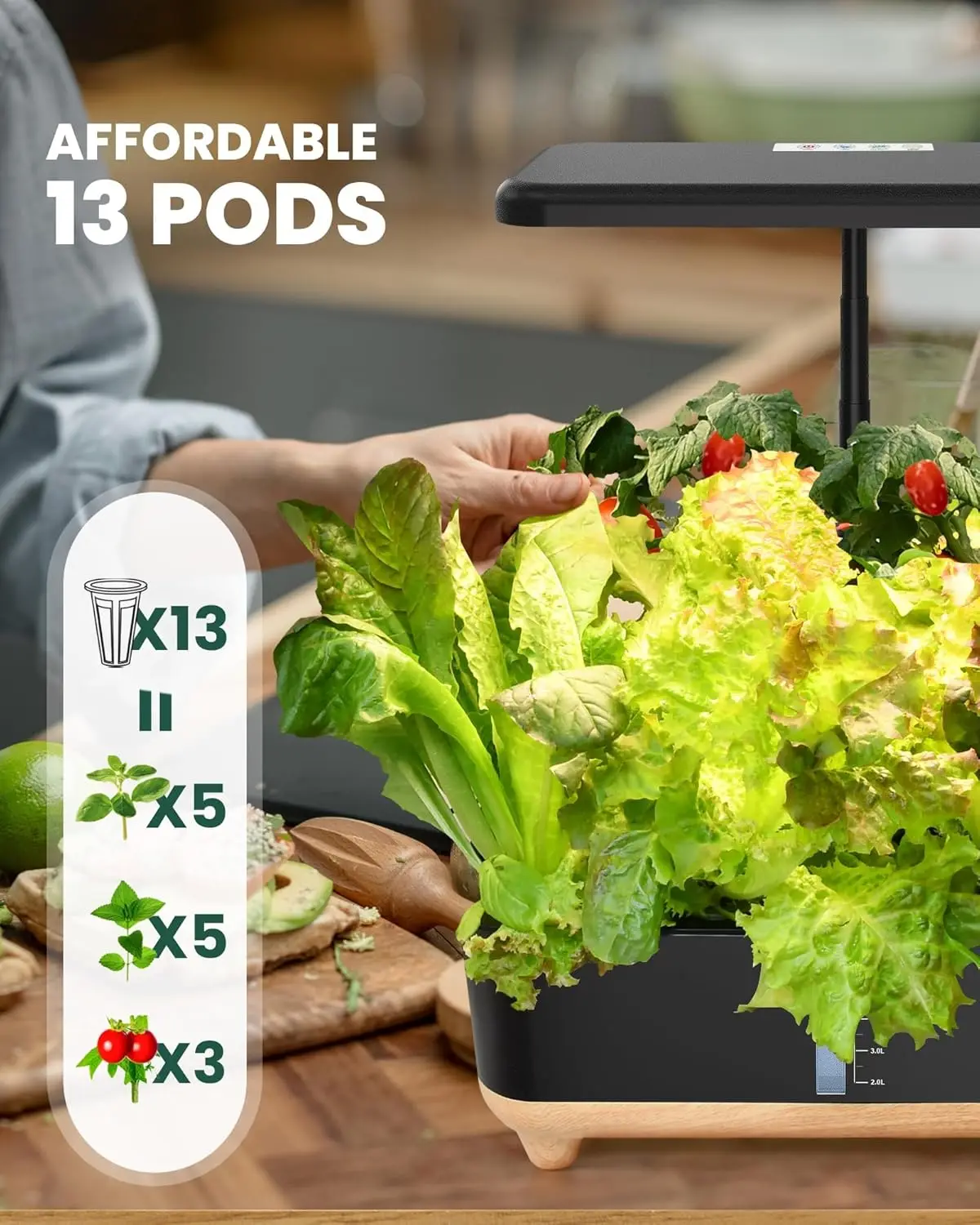 Indoor Hydroponics Growing System Kit, Plantador de jardim hidropônico, Sistema Vegetal, Cozinha Presentes de Natal, 13 Pods