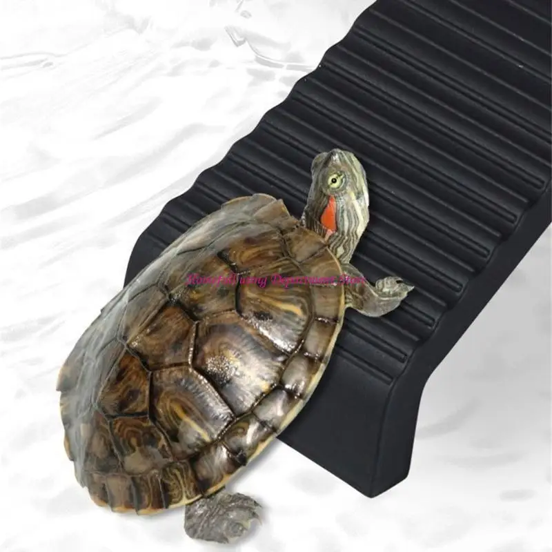 

Durability Plastomer Turtles Rest Platform Easyly Install Turtles Sun Deck