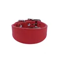 red collar