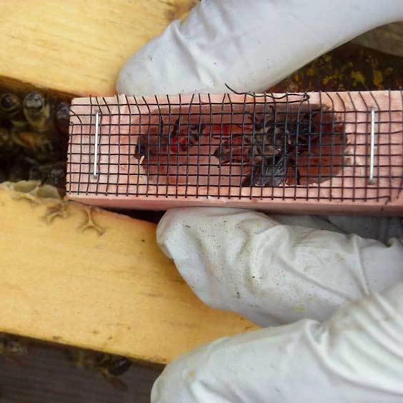 

ABRE-Wooden Queen Bee Cage, Mutil-Functional Beehive Bee Cage Rearing Cage Cell, Bees Queen Post Prisoner, Beekeeping Tools