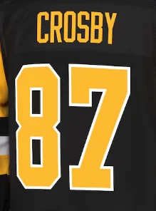 Famous brand Pittsburgh Ice hockey jerseys with embroidered men women youth customized #87 CROSBY #59 GUENTZEL #17 RUST