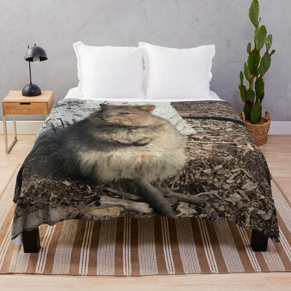 Quokka Throw Blanket Bed covers Large Blankets