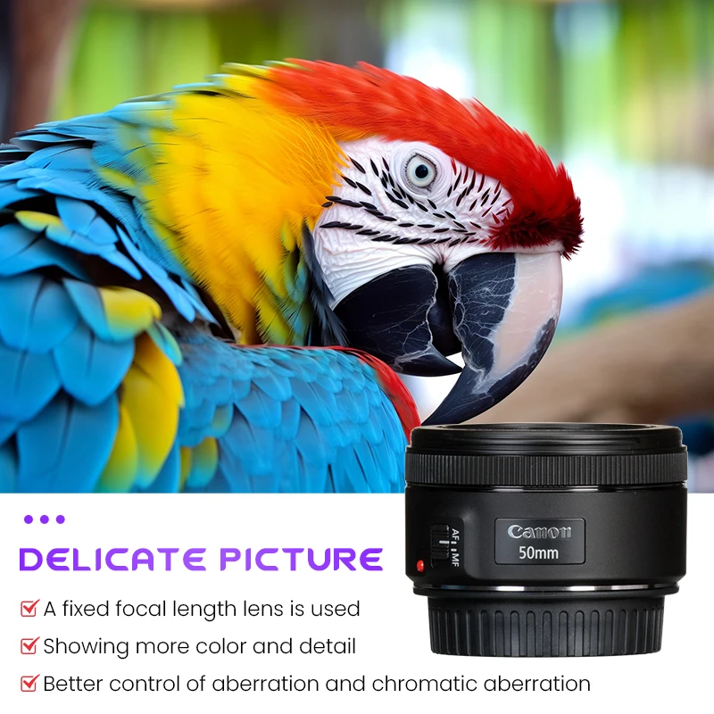 عدسة Canon EF 50mm f/1.8 STM 50mm عدسة كانون f1.8 فتحة عدسة إطار كامل #2