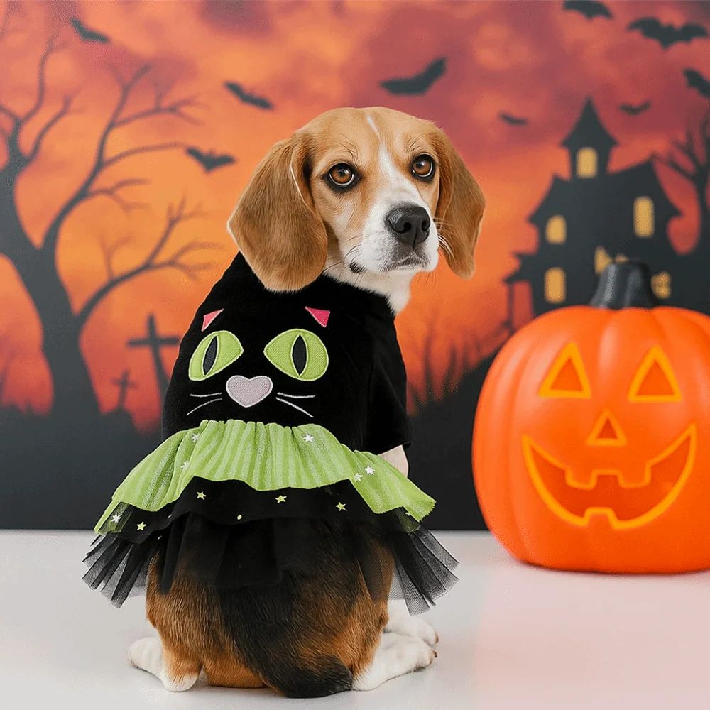 

Puppy Costumes Two Legged Dog Halloween Dress Comfortable Soft Dog Pullover Black Puppy Sweatshirt For Small Dogs Cats