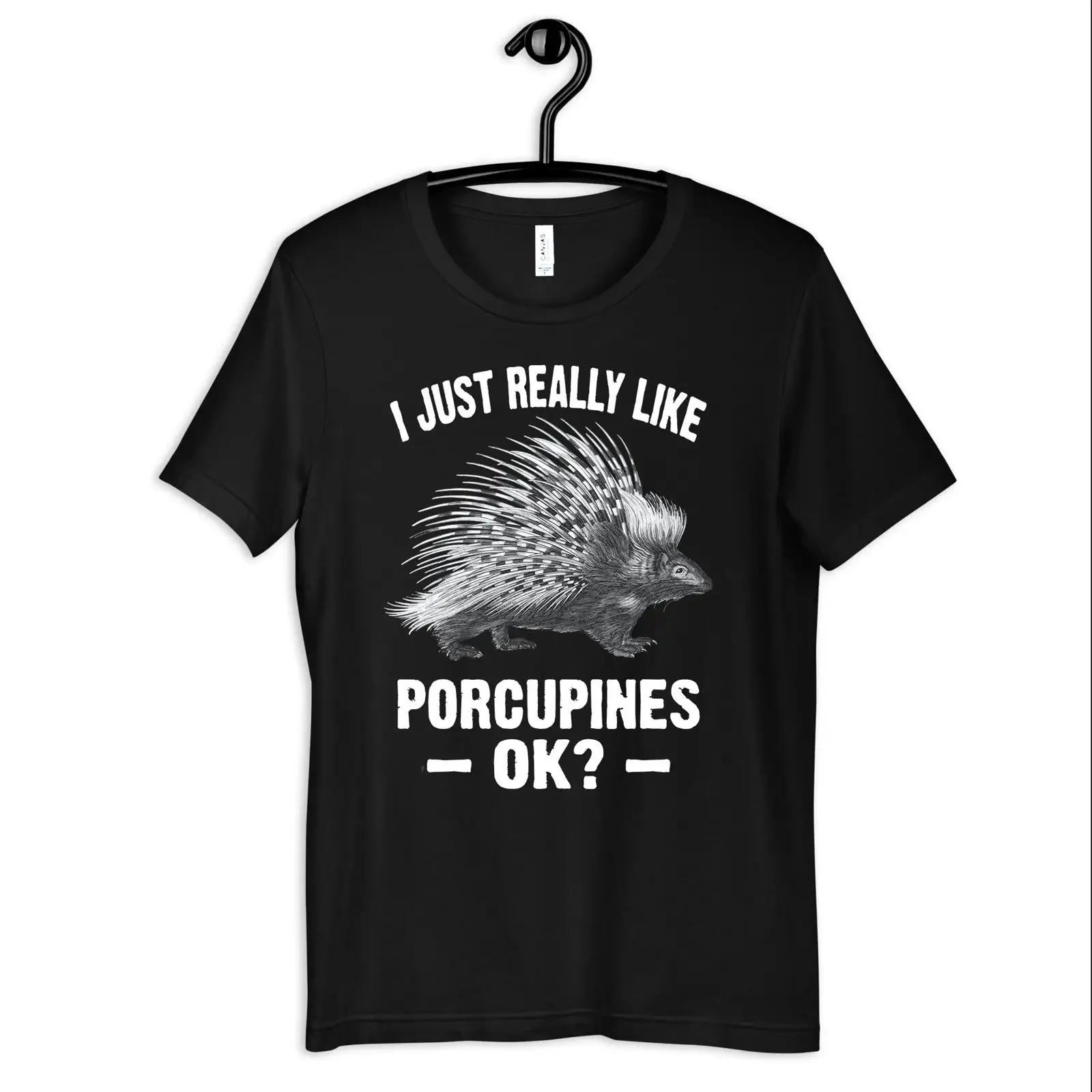 Porcupine T Shirt Funny Porcupines Kids Zoo Long Sleeve SweaT vintage Washed Slightly Versatile Casual designer clothes Stylish