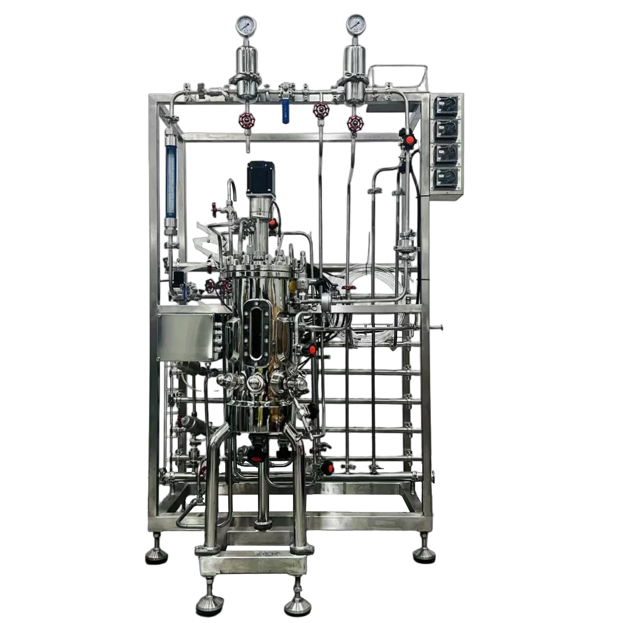 MAF Industrial 10l SUS Fermenter Bioreactor with Peristaltic Pump