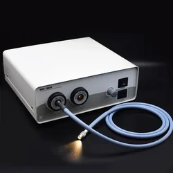 Medical Endoscopy Cold Light Source/ Cold Light Source Cable ENT Instruments Halogen Dual Holes Fiber Optic Endoscope Cable