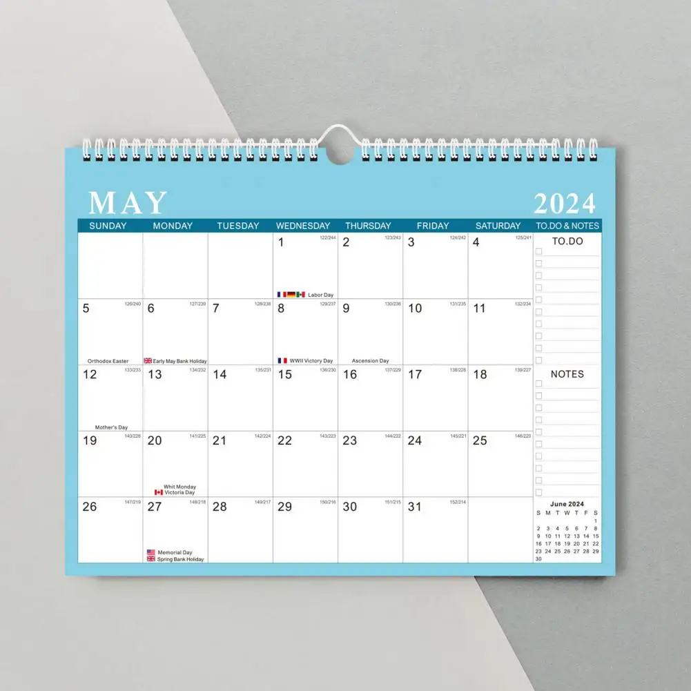 Scheduling Tracking Calendar 2024-2025 Wall Calendar English Time Management Planner for Home Office School Monthly Organizer