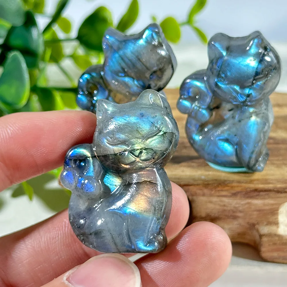 1PC Natural Labradorite Cat Double Sided Reflection Ultrastrong Light,Home Decoration,Crystal Heal,Reiki Heal,Labradorite