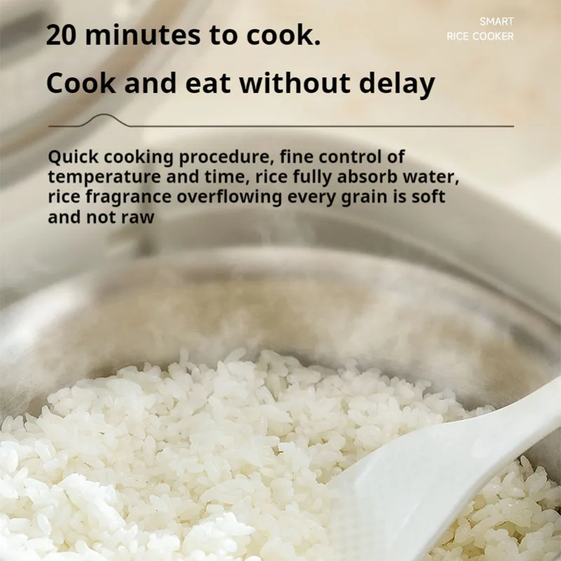 طباخ أرز كهربائي ألماني ZEMKON سعة 2.5 لتر، من الفولاذ المقاوم للصدأ، بدون طلاء، مناسب لـ 3-4 أشخاص، منزل صغير، أرز وحساء سبتمبر