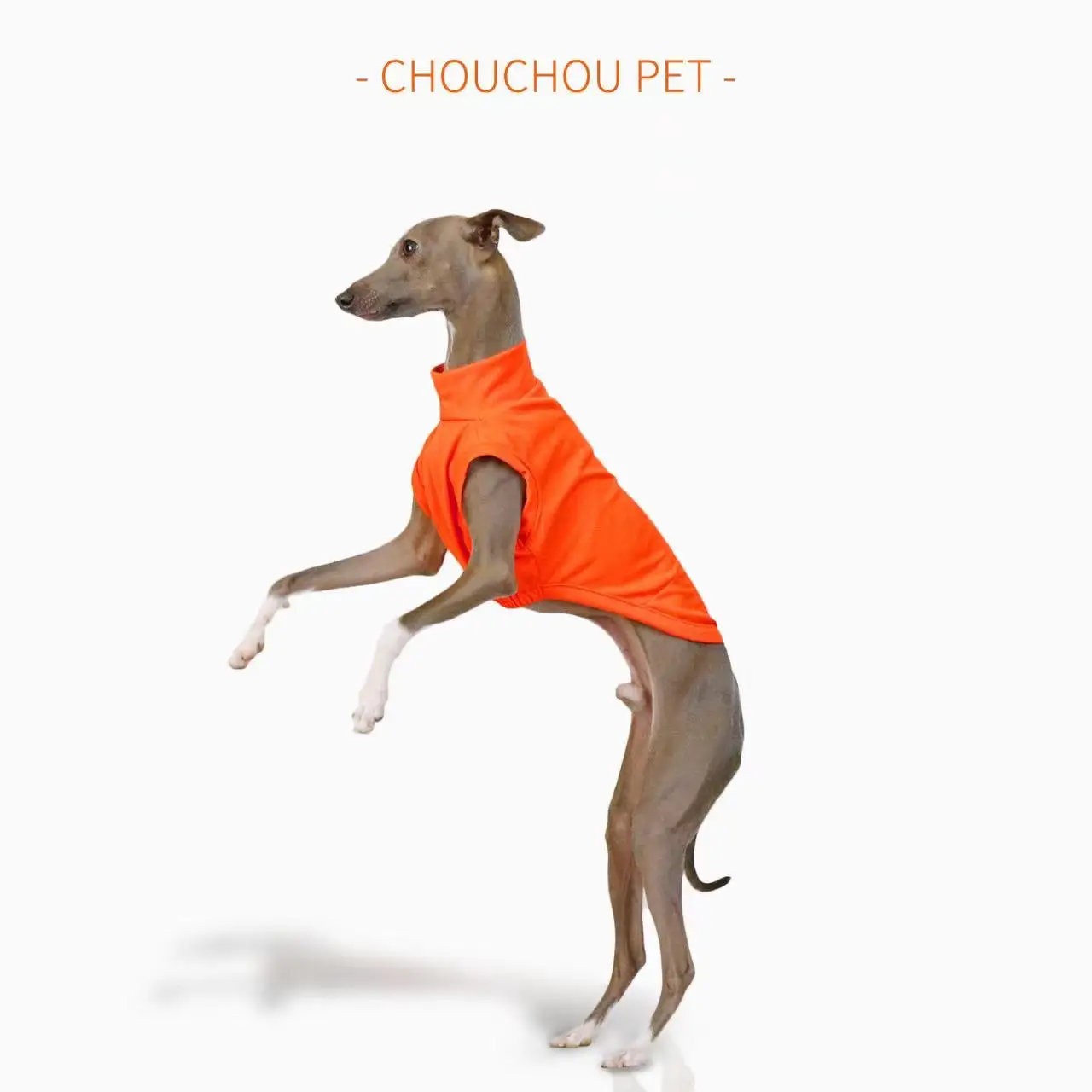 Summer Breathable Dog Vest Outdoor Sun Protection Pet Clothes Cool and Comfortable Iggy Whippet Small and Medium Dog Clothes