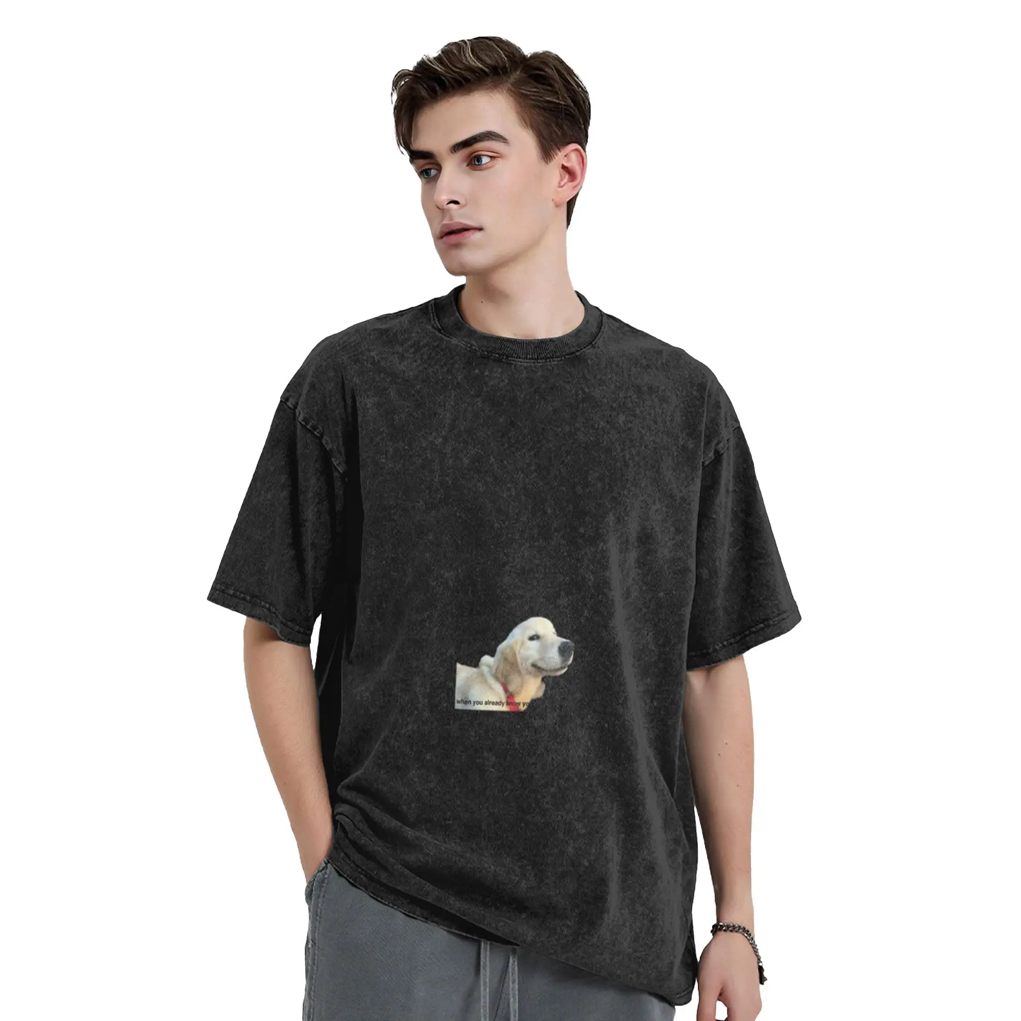 Good Boy Dog Classic Stylish A T-Shirt Oversized Short Sleeve Men's Women's Cotton Tees Tops