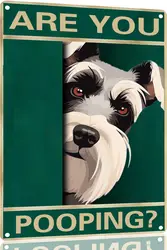 Schnauzer Vintage Metal Tin Sign sei You Pooping Sign bagno Funny Art Poster decorazione Toilet Cave Bar Home bagno Wall De