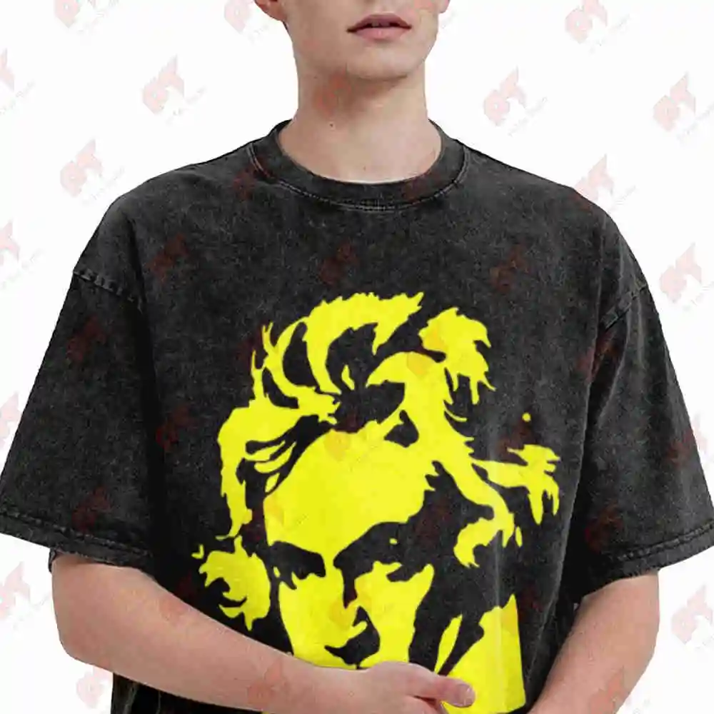 Beethoven Ludwig Van Vintage Washed Tee Pure Cotton T-Shirt