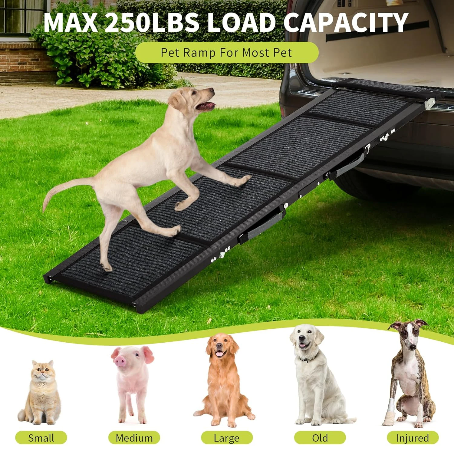 Thumbnail 2 - #13 Top 40 Folding Dog Ramps Worth Buying In 2026