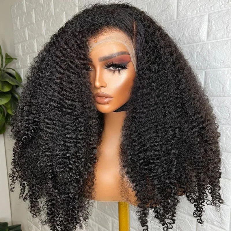 

250% Density 13x4 HD Transparent Lace Front Wig Brazilian Virgin Human Hair - Kinky Curly Jerry Wave Glueless Wig with Pre-Pluck