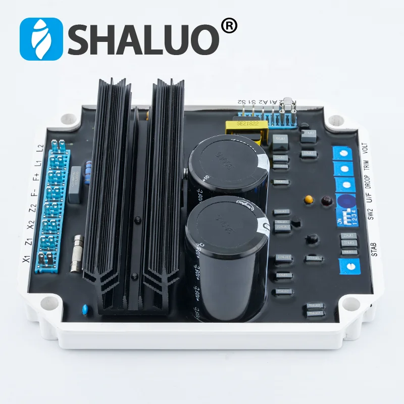 Régulateur automatique de ions AVR VR08