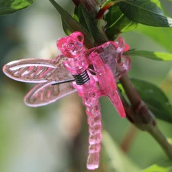 Orchid Clips Reusable Plastic Dragonfly Clamps for Indoor Plant Support Flower Vine Stem Climbing Decoration Clips Garden Tools