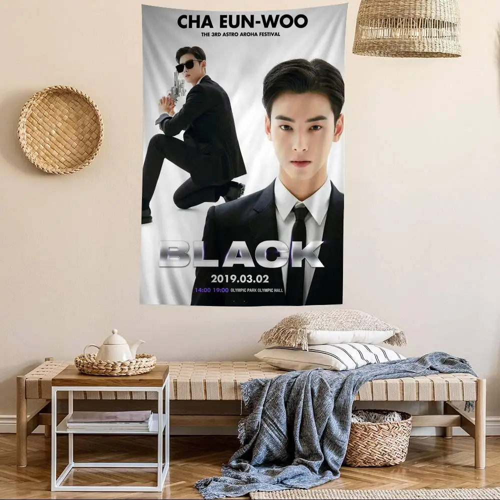 Cha-Eunwoo Wall Tap… - image