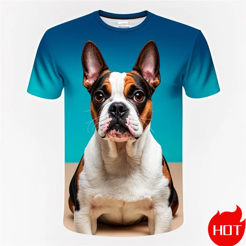 Fashion 3D Cute Doge Boston Terrier Printing T Shirt Kid Funny Streetwear Short Sleeves Unisex Harajuku Tee Shirts Mens Clothing