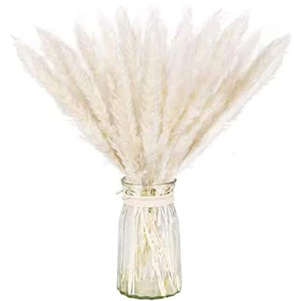 Natural Pampas Grass Fluffy Small Reeds Flowers Bouquet Boho Living Room Decoration Bunny Tail Grass Dried Flowers for Wedding