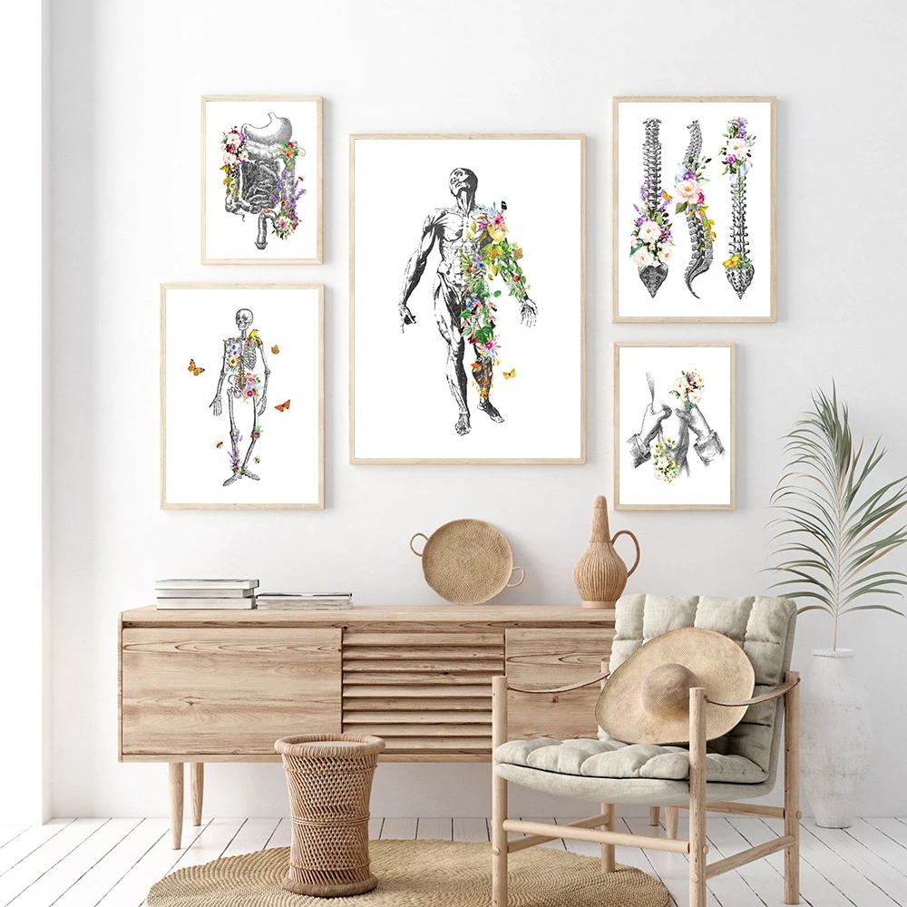 Vertebral Column Dorsal Vertebrae Skeleton Anatomy Poster Print Forearm Massage Canvas Painting Digestive System Anatomy Murals