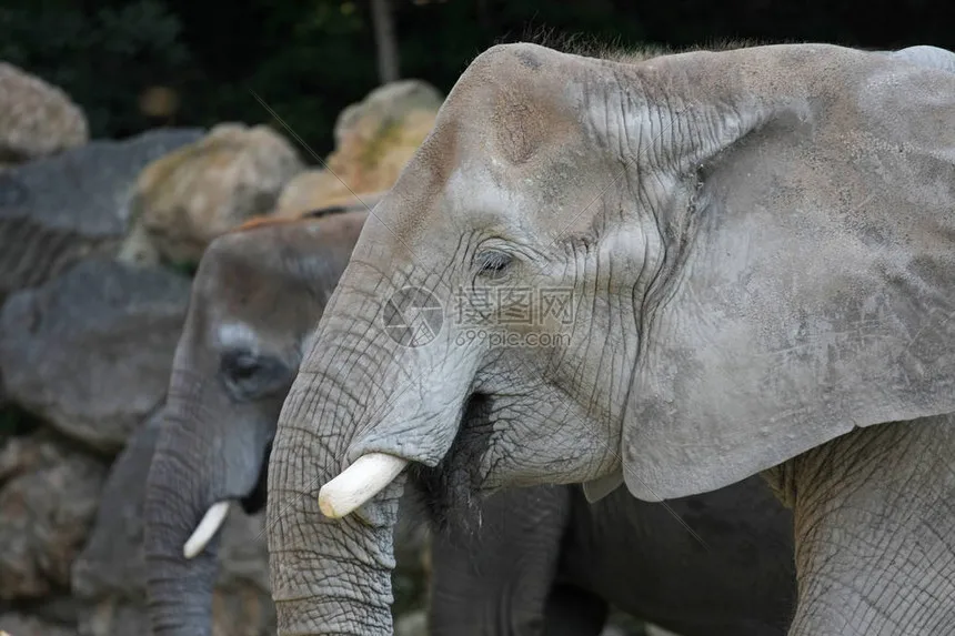 

1:10 HSP Aluminum Metal Chassis Upgrade Spare Parts For 1/10 02163#06056#06001 Oil car chassis