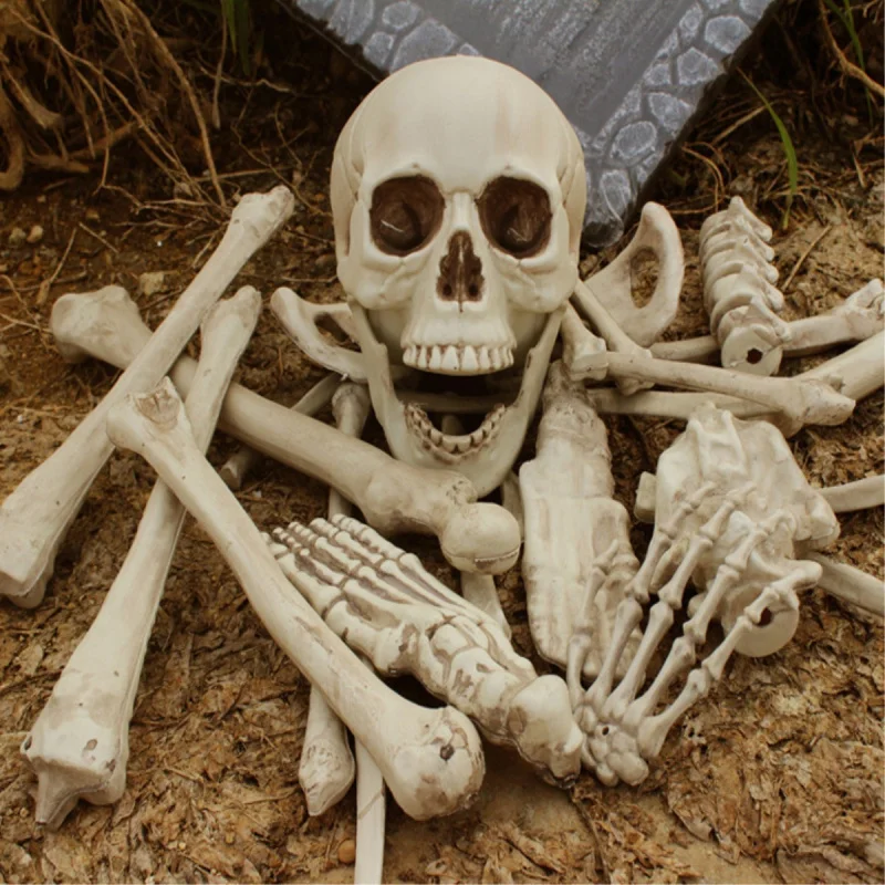 

Plastic Full Halloween Festival Scene 28 Pieces Skeleton Source Personalized Gift Skull Head