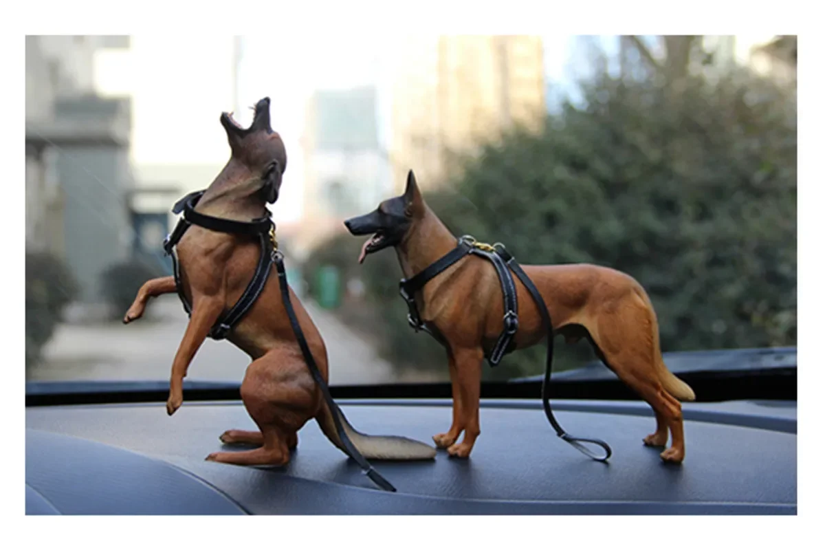 PAWFASHION-Figurine de chien malinois belge, modèle animal, jouet de collection, cadeau de simulation, 1/6