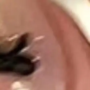 12 شبكة/صندوق الحلو لطيف ربطة القوس فيونكة سوداء Bowknot الشريط السحر مسمار الفن اكسسوارات جميلة مسمار السحر DIY بها بنفسك زينة مانيكير أداة #2