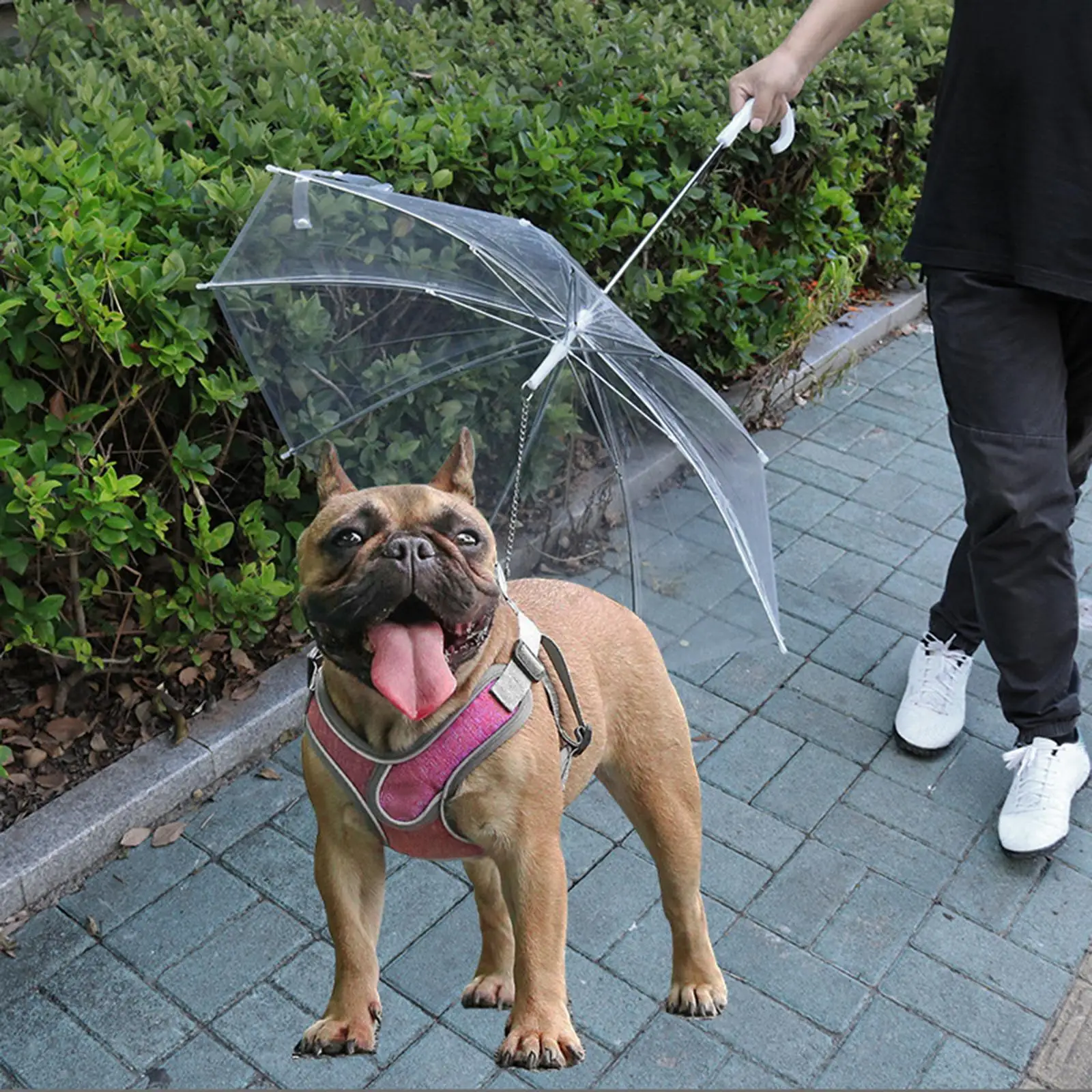 High Quality Pet Umbrella Transparent Dog Umbrella with Leash Assembly for Rain