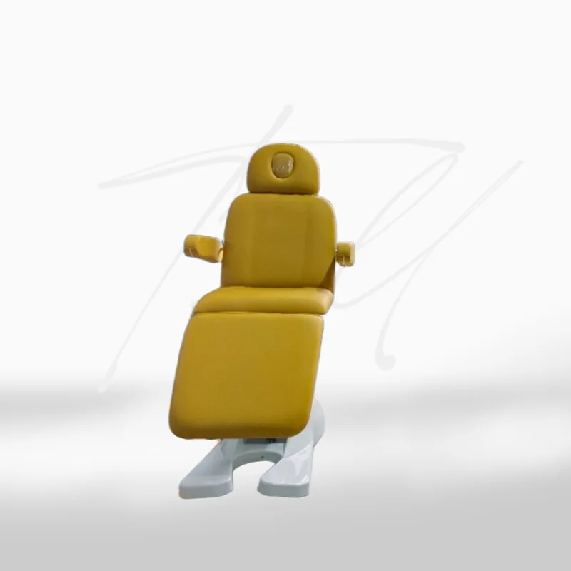 Beauty Bed, Electric Body Therapy and Massage Bed with Ridge Design, Embroidered Micro-Whole Cover for SPA and Salon