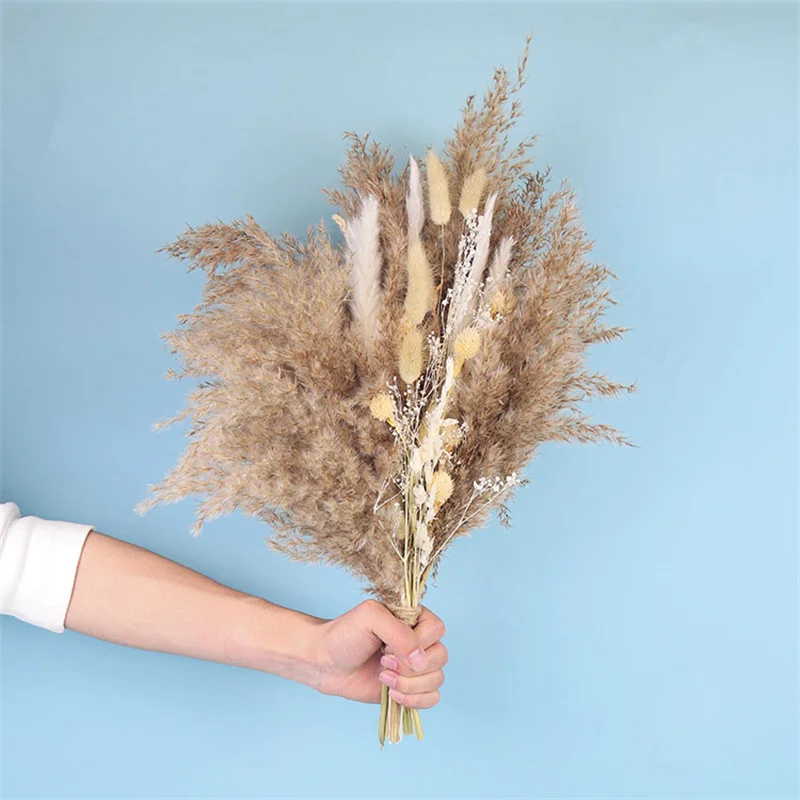 30pcs Natural Dried Pampas Flower Bouquet Branches Boho Photo DeCor Home For Party Wedding Fleurs Sechees Exotic Accessories