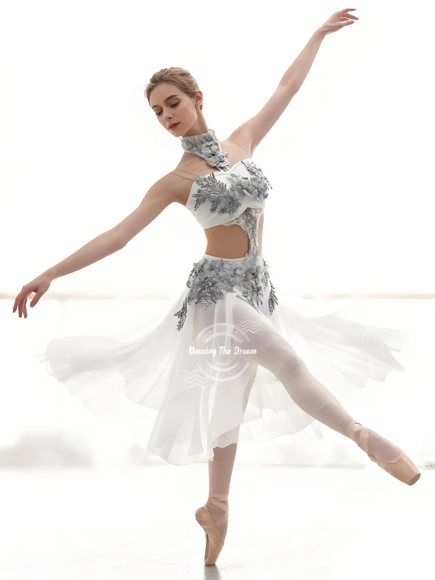 

Romantic Tutu Ballet Costumes For Women And Girls Dance Dress Tulle Ballet Skirt