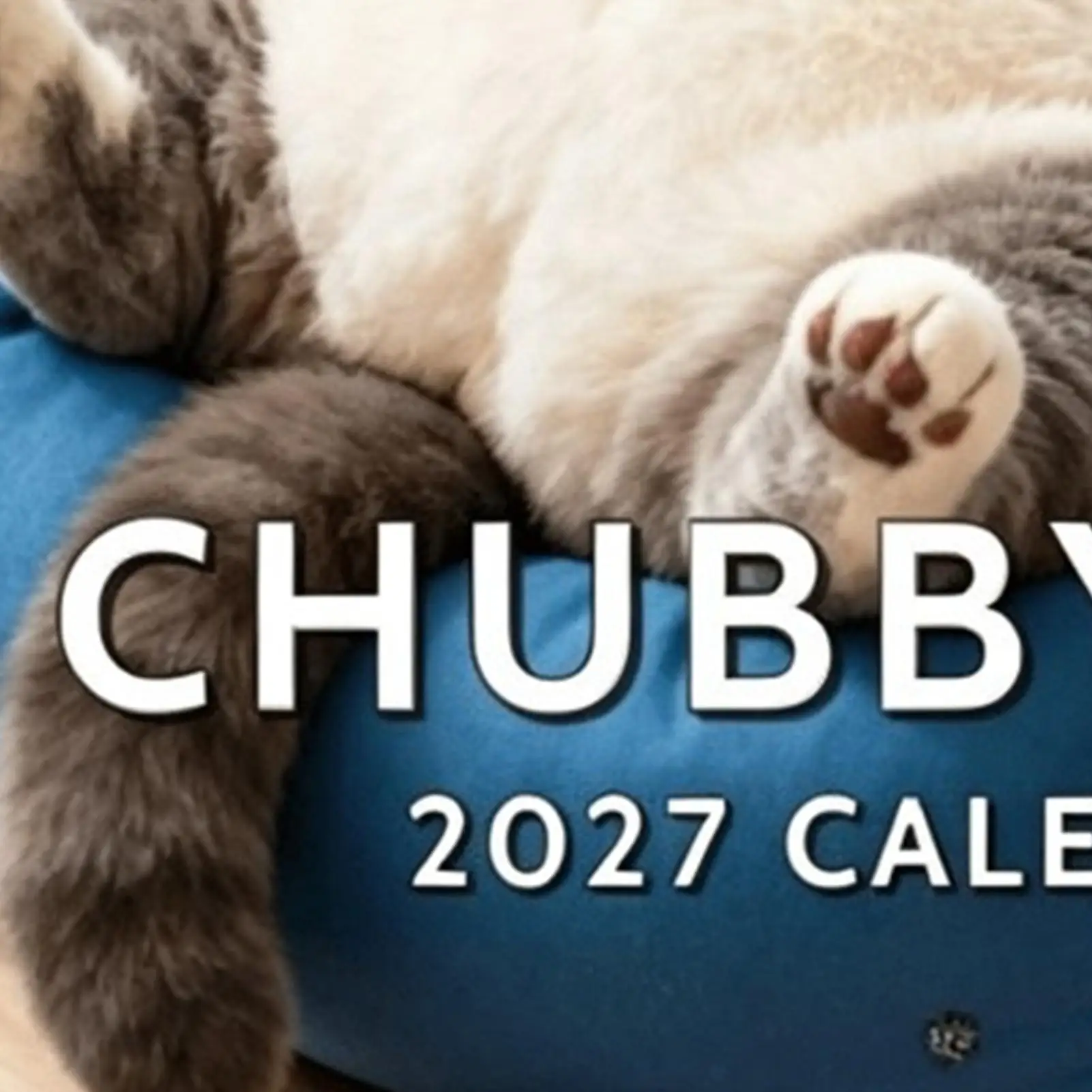 2027 Cat Calendars Wall 12 Monthly Cute January To December Fat Cat Calendar 2027 For Home Indoor Office Bedroom School
