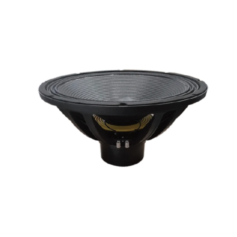 Professional 18-inch neodymium speaker subwoofer for line array sound systems