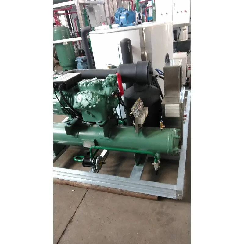 500kg/day Flake Ice Machine for Fishing Vessel Flake Ice Making Machine Commercial Small Ice Flake Making Machine
