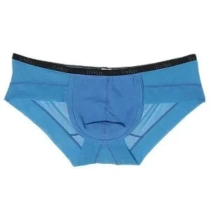 

Men's Sheer Mesh Briefs Sexy See-Through Mid-Rise Underwear Cotton Crotch Breathable Hollow Out Trunks Gays Sexy U Pouch Panties