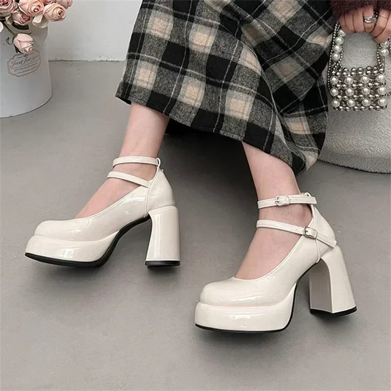 Women's Platform Chunky Heels High Heels Spring New Fashion Vintage Mary Janes Shoes Classic Double Buckle Wedding Dress Shoes