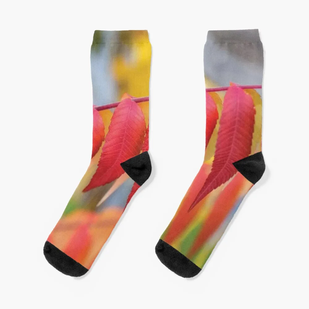 

Red Leaves Of A Virginia Sumac Socks Men'S Sock