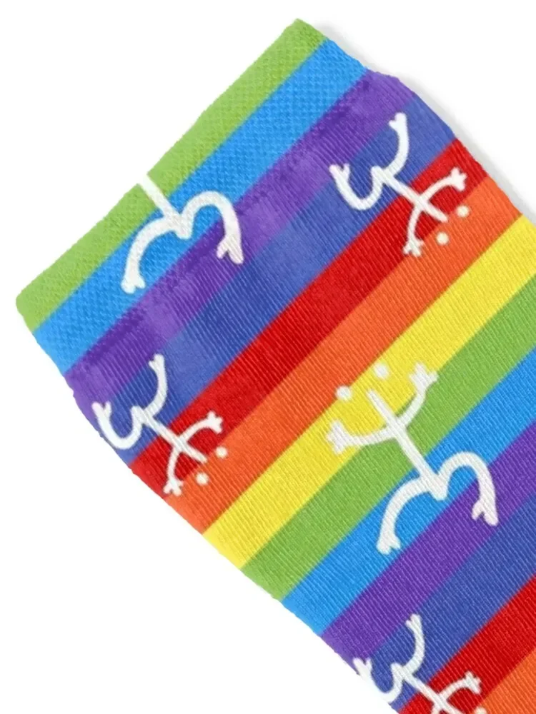 Coqui Taino Frog Rainbow Pattern Socks christmas gifts designer Girl'S Socks Men's