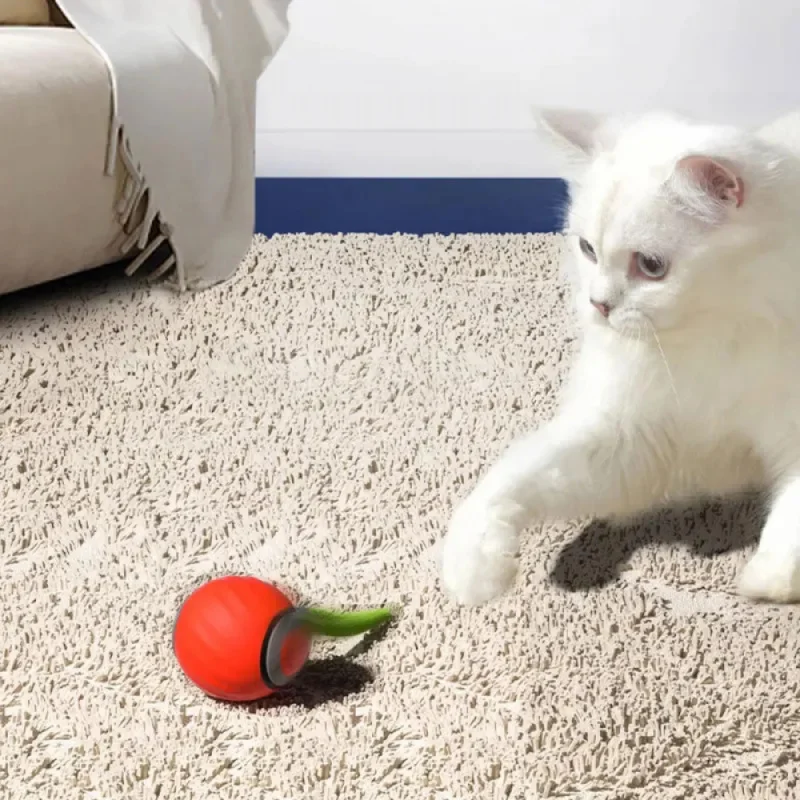ألعاب القطط التفاعلية مع الذيل التلقائي الكهربائية لعب الكرة المتداول للقطط الكلب ألعاب الحيوانات الأليفة الذكية التلقائي دعابة USB قابلة للشحن