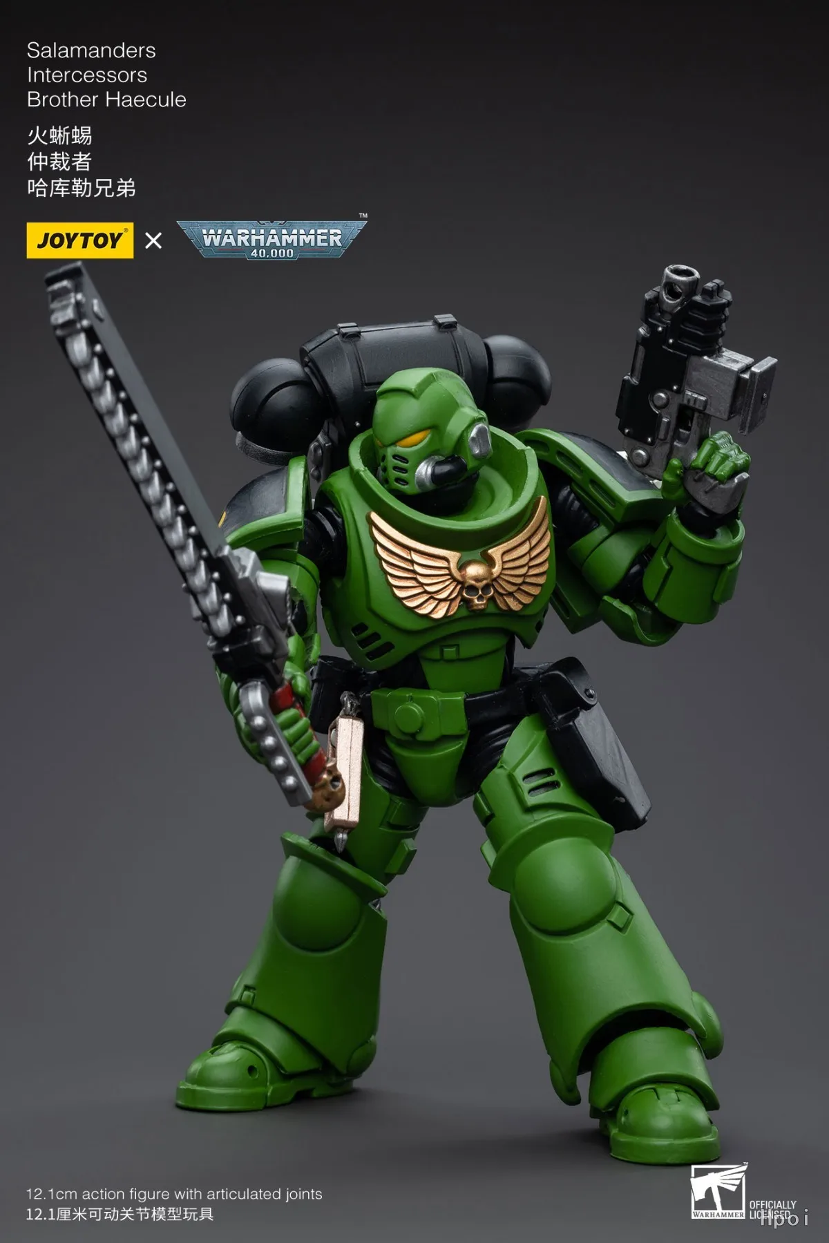 【Auf Lager】JOYTOY 1/18 Actionfigur Warhammer 40K Salamanders Intercessors Brother Haecule Figur Spielzeug