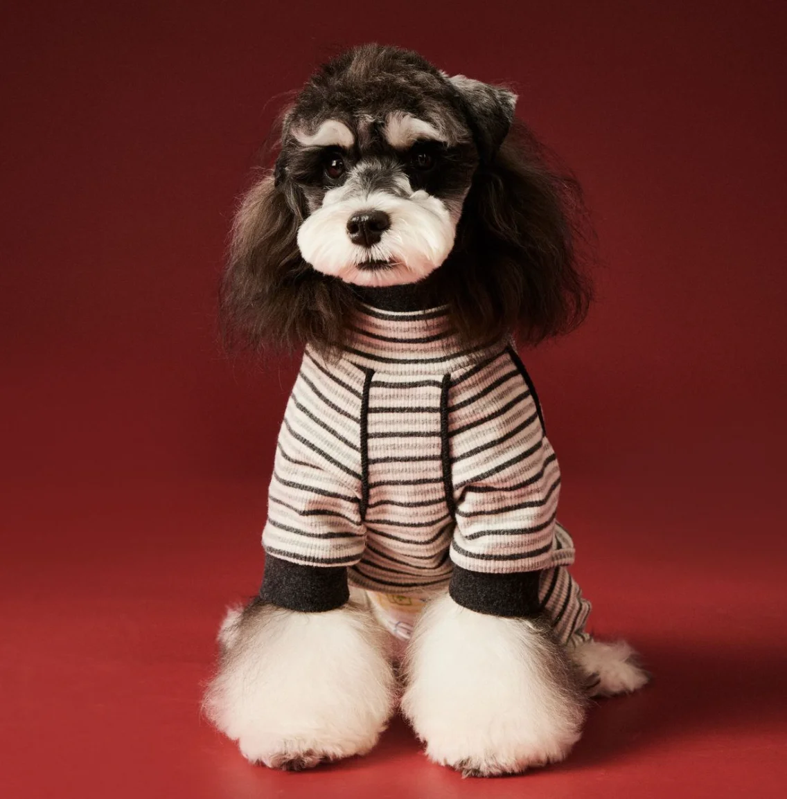 

Three-Color Stripe Sleeveless Vest for Dogs and Cats, Pet Clothing, Contrast Color, Schnauzer Clothes, Chiuhahua, Autumn, New