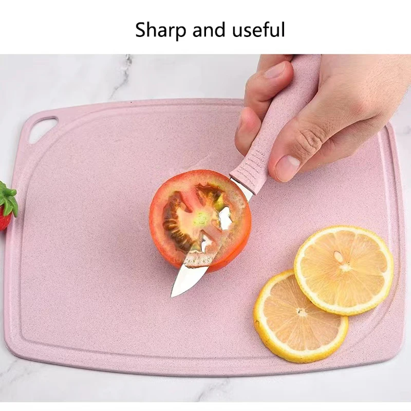 Stainless Steel Fruit Knife, Household Fruit Set KnifeIt Is Convenient To Carry Outdoor Knives Fruit Peeler Accessory Small Tool