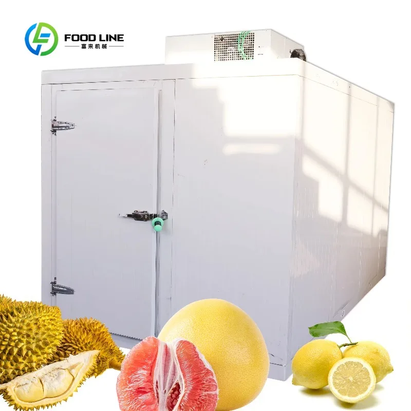Customized Commercial Walk-in Cold Storage Room 304 Stainless Steel CE Certified for Fruits Meat Cold Chain