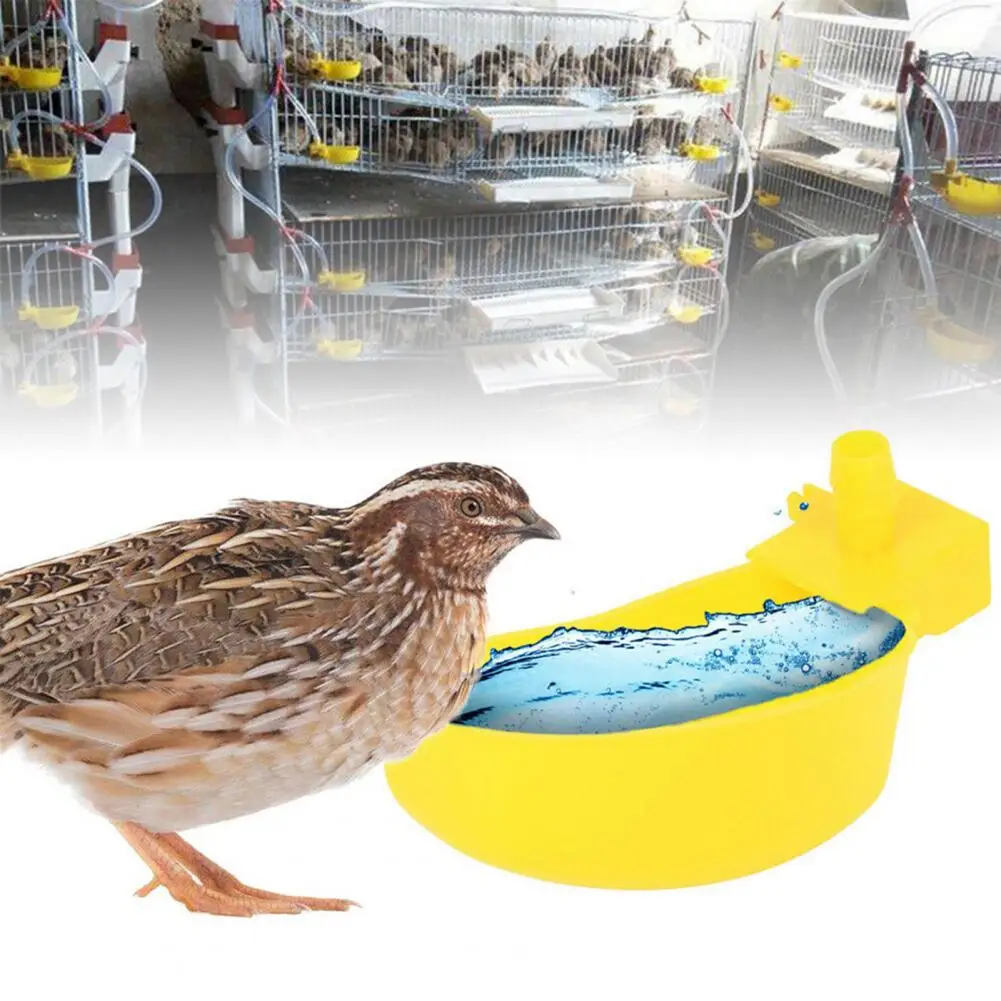 

10Pcs Automatic Waterer Cups ABS Feed Water Tool Poultry Supplies Chicken Poultry Water Drinking Feeder Cups Bowls for Bird