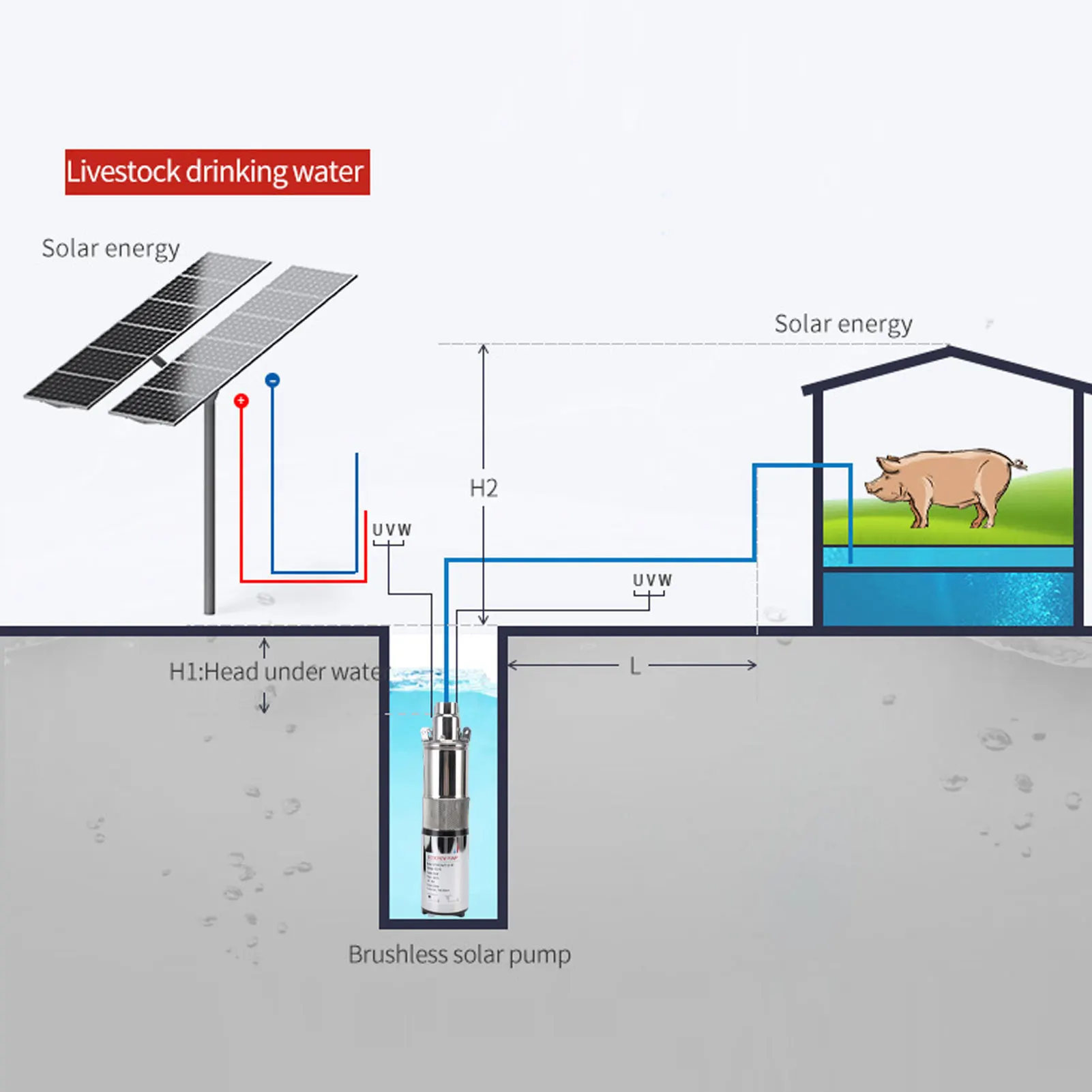 260W Deep Well Submersible Pump 1.2m³/h Maximum Flow 40m Head Solar Stainless Steel Screw Pump for Irrigation