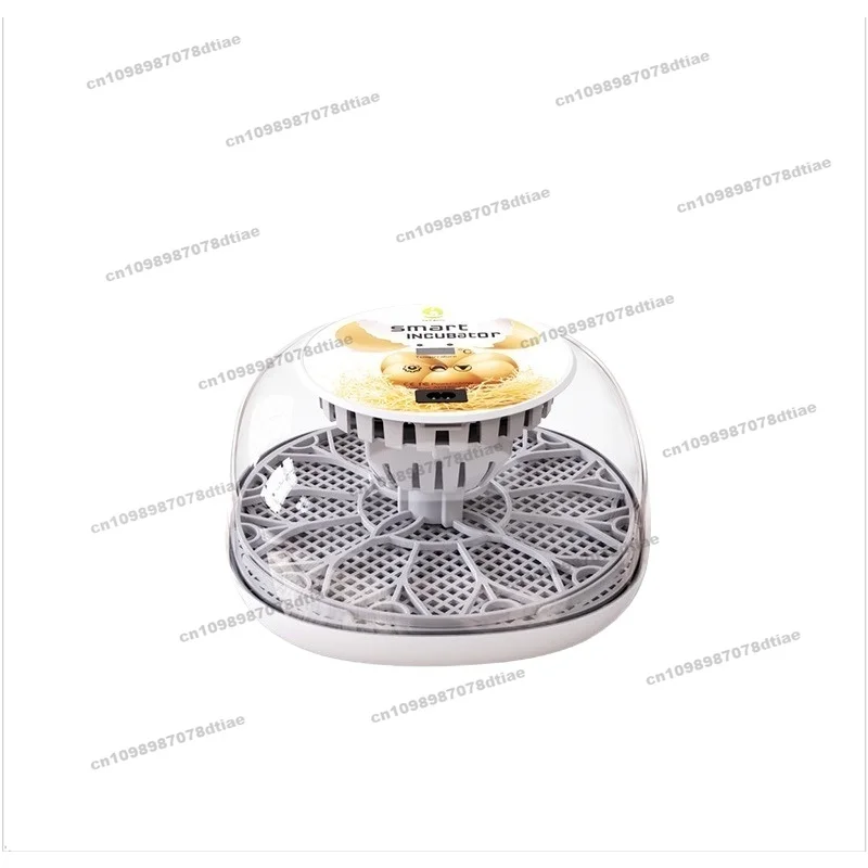 Fully Automatic Pet Household, Small Egg Incubator, Incubator Intelligence, Special Equipment for Breeding, Parrot Rutin Chicken